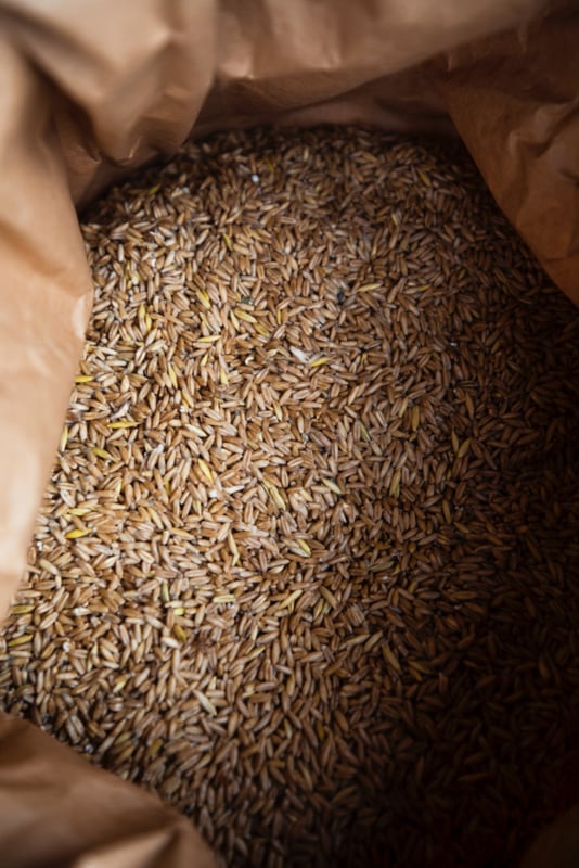 Kollenberger Hele Spelt Korrel - 1 Kg