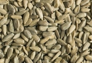 Zonnepitten - 500 g - Afbeelding 2