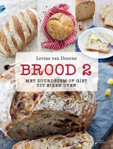 Boek: Brood 2 Zuurdesem of gist