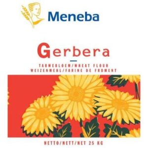 Gerbera - 25 Kg